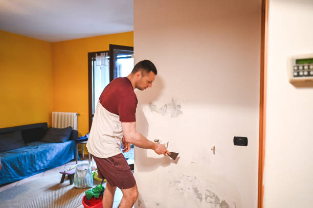 Best Emergency Mold Removal  in Westfield, IN